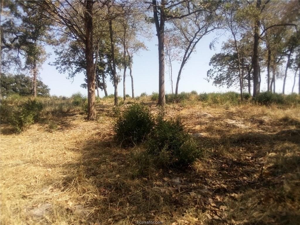 5.01 acres in Leon County - photo 17