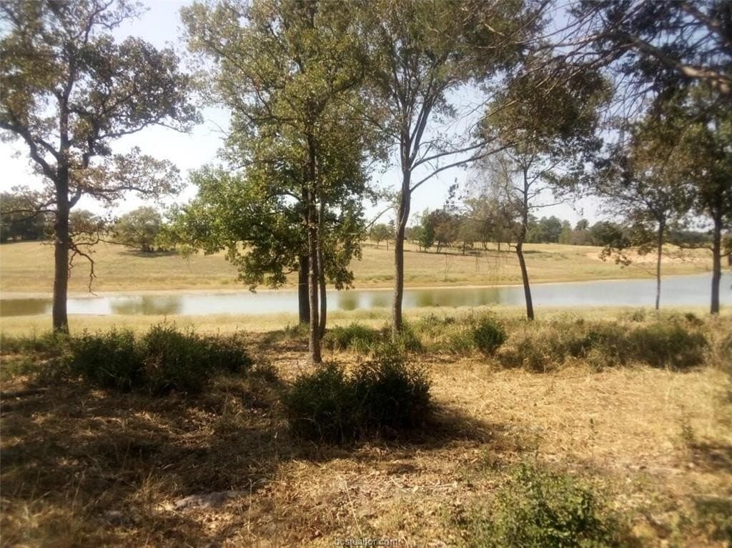 5.01 acres in Leon County - photo 7