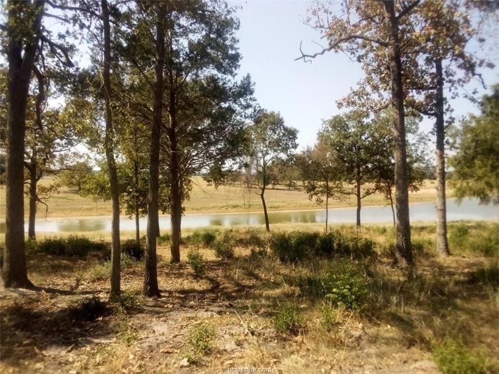 5.01 acres in Leon County - photo 11