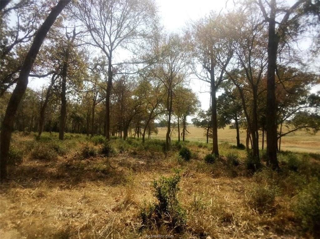 5.01 acres in Leon County - photo 15