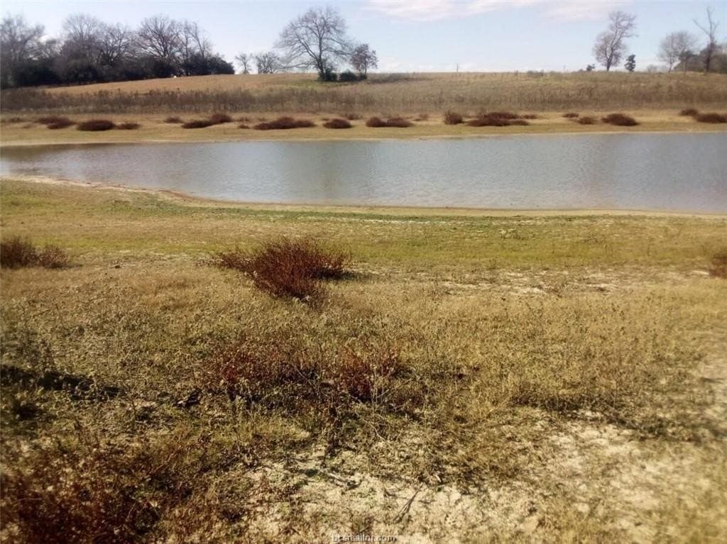 5.01 acres in Leon County gallery image 3