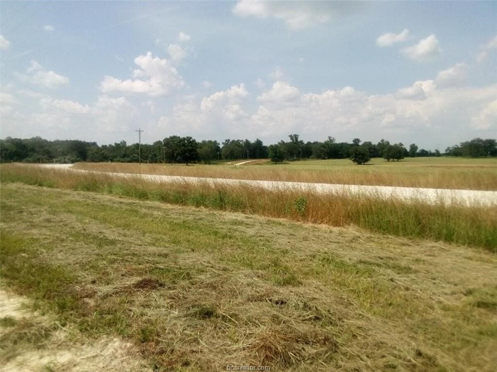 5.01 acres in Leon County - photo 6