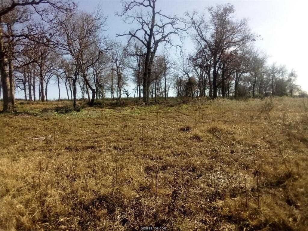 5.01 acres in Leon County - photo 12