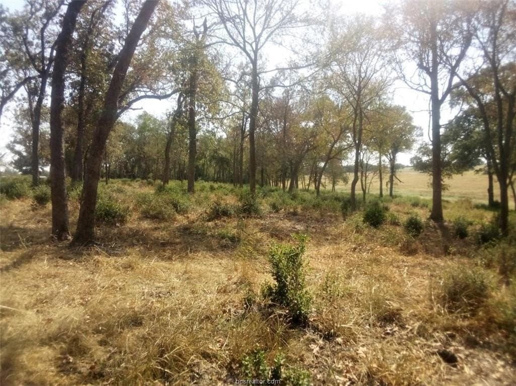 5.01 acres in Leon County - photo 14