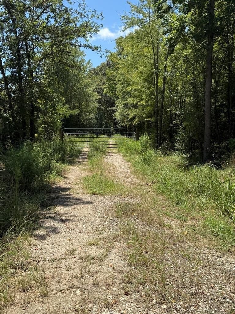 2 acres in Texas County