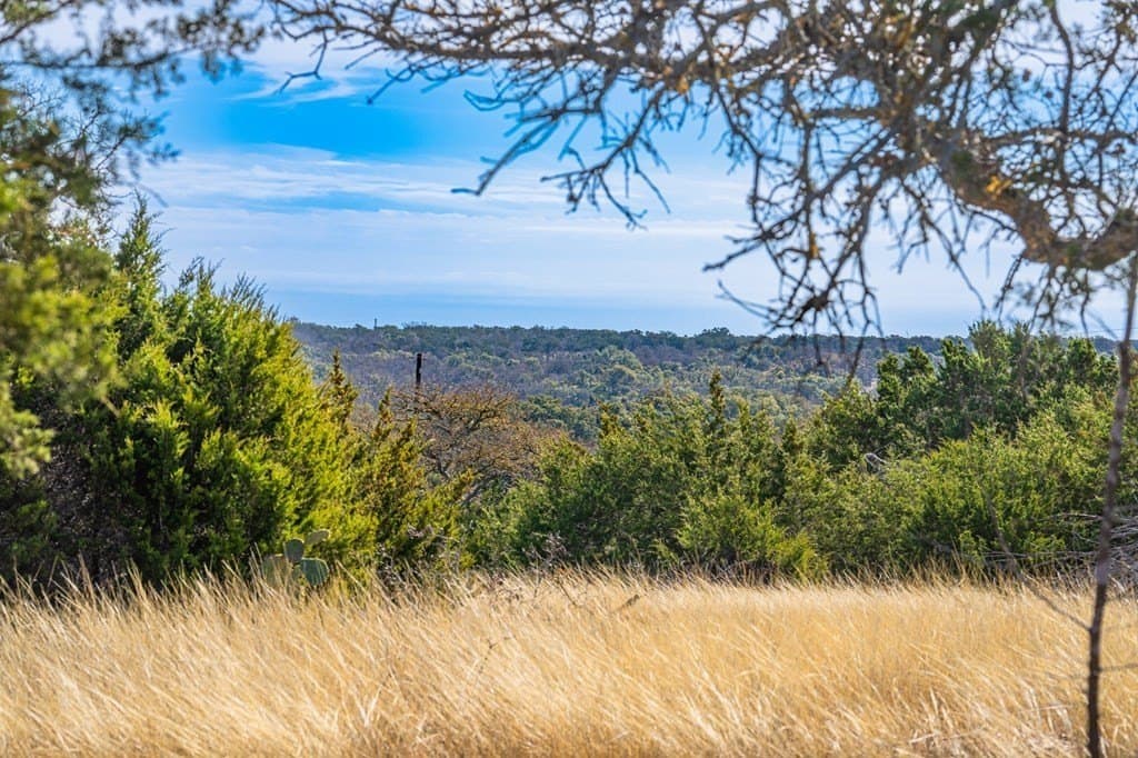 15.01 acres in Gillespie County gallery image 4