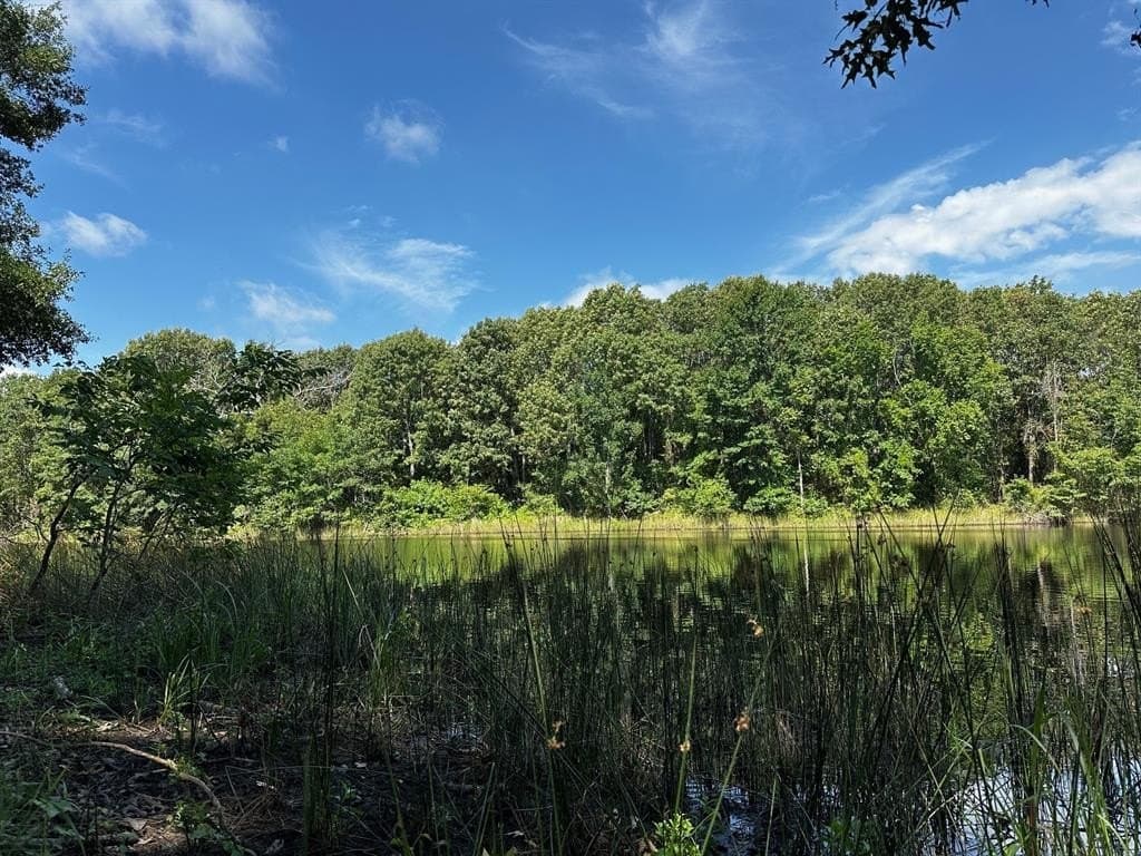 14.58 acres in Van Zandt County featured view
