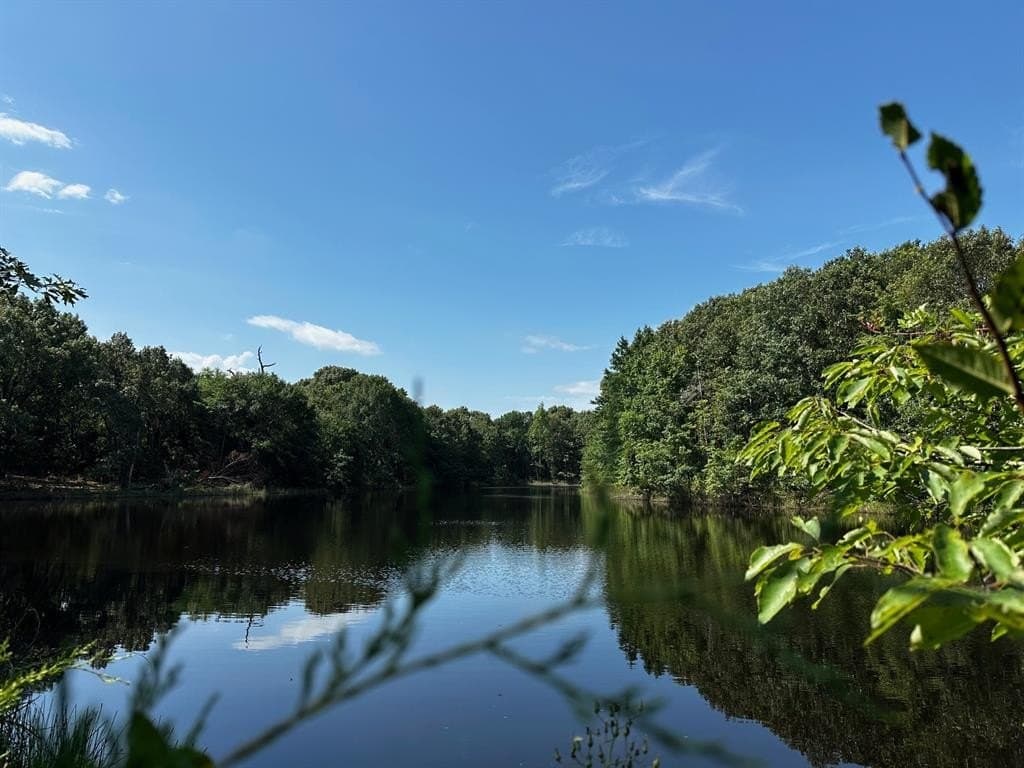 14.58 acres in Van Zandt County