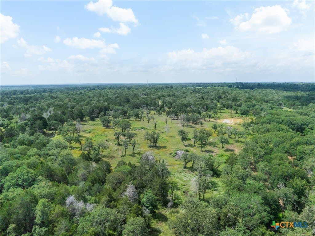 22.39 acres in Bastrop County gallery image 3