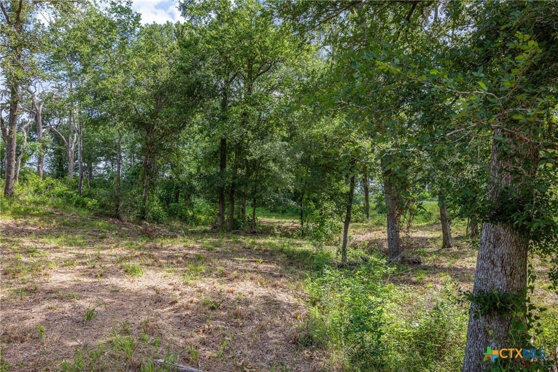 22.39 acres in Bastrop County - photo 7