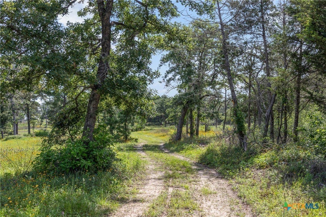 22.39 acres in Bastrop County gallery image 2