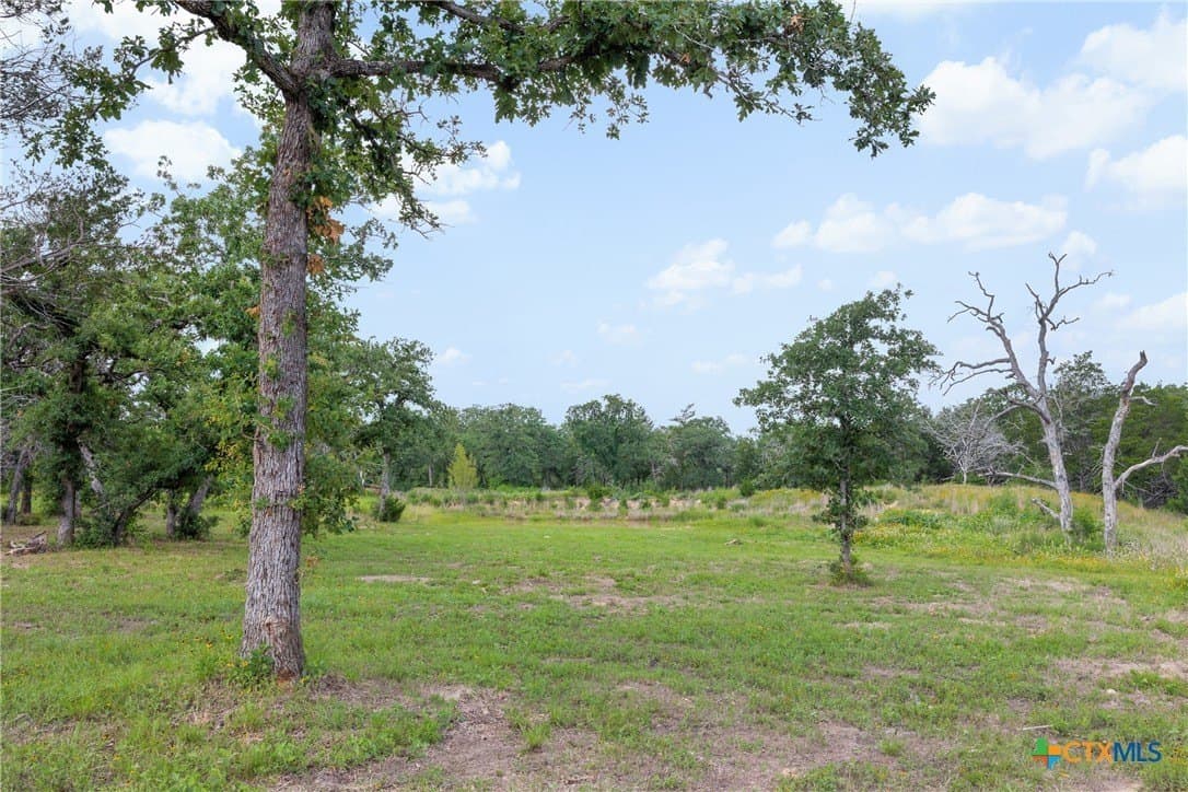 22.39 acres in Bastrop County - photo 8