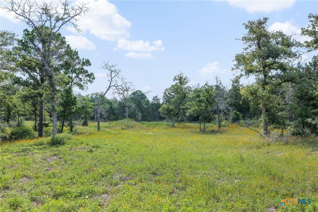 22.39 acres in Bastrop County featured view