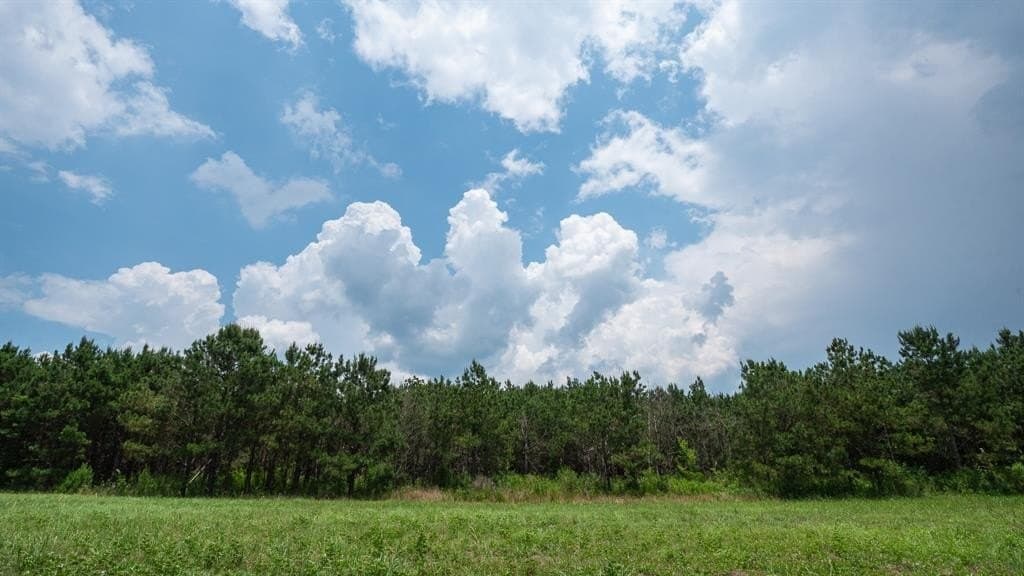 1,380 acres in Wood County featured view