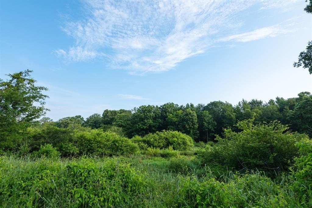 1,380 acres in Wood County gallery image 3