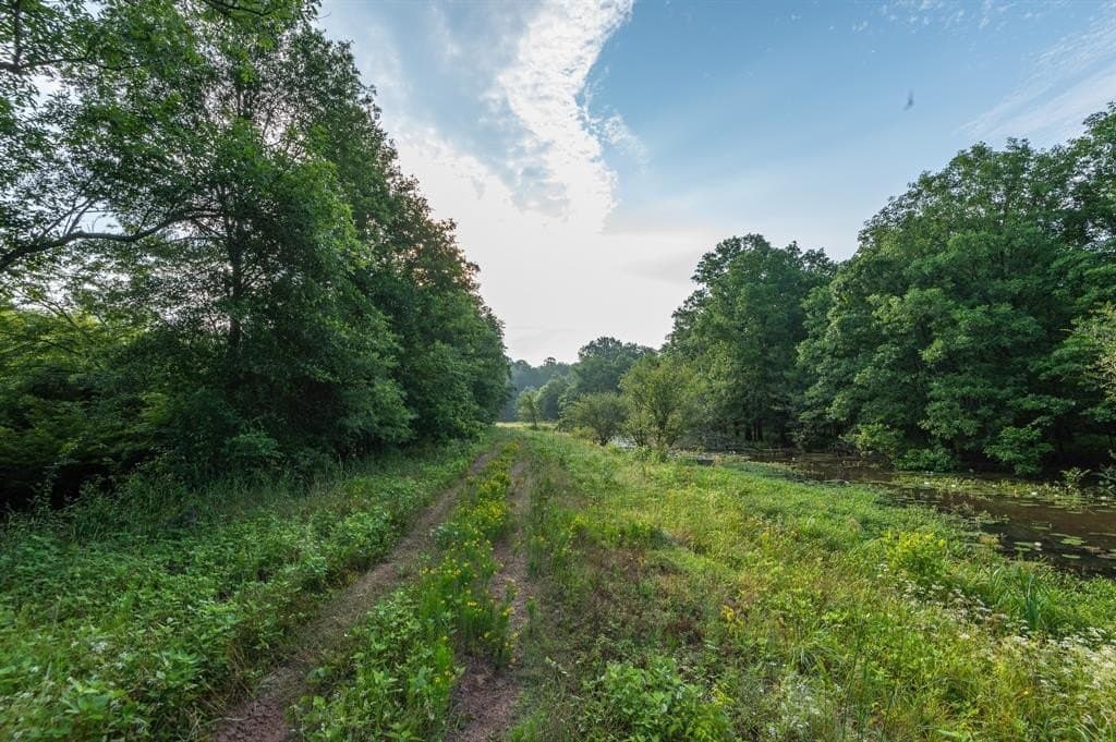 1,380 acres in Wood County gallery image 2