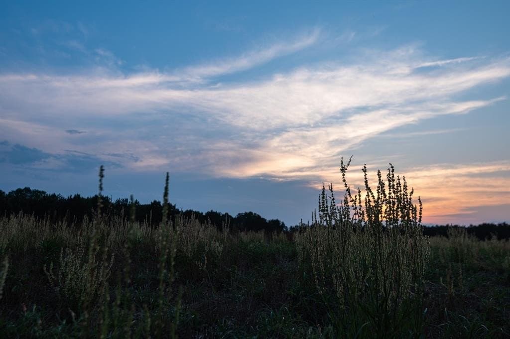 1,380 acres in Wood County gallery image 4