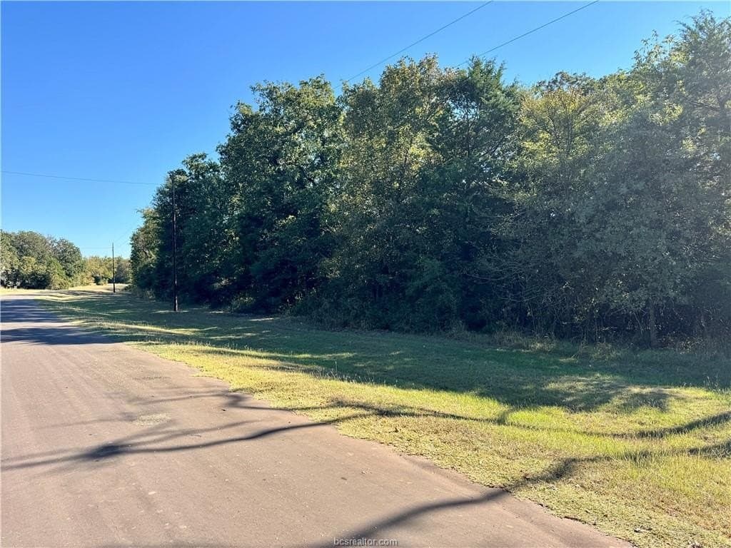 12.47 acres in Leon County gallery image 2