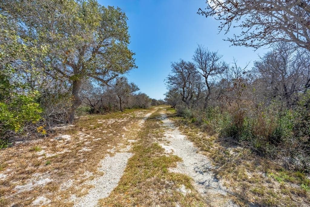 5.2 acres in Texas County - photo 23