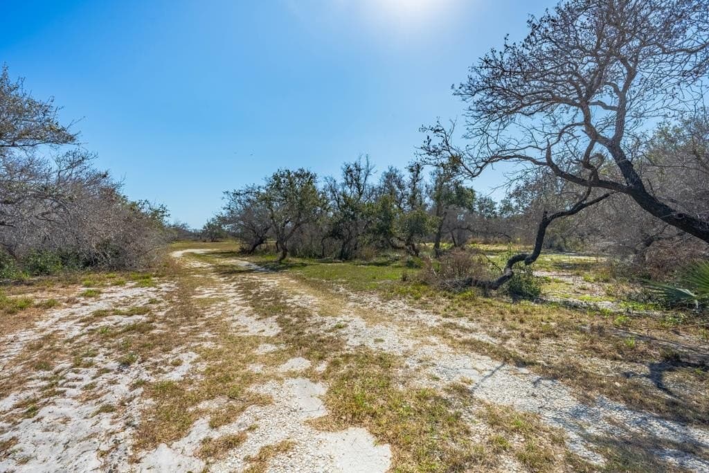 5.2 acres in Texas County - photo 24