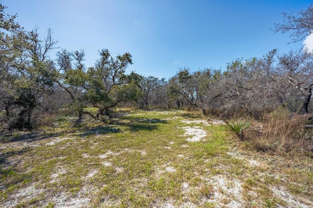 5.2 acres in Texas County - photo 25