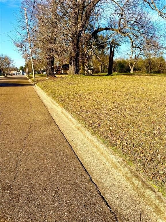9.66 acres in Camp County gallery image 4