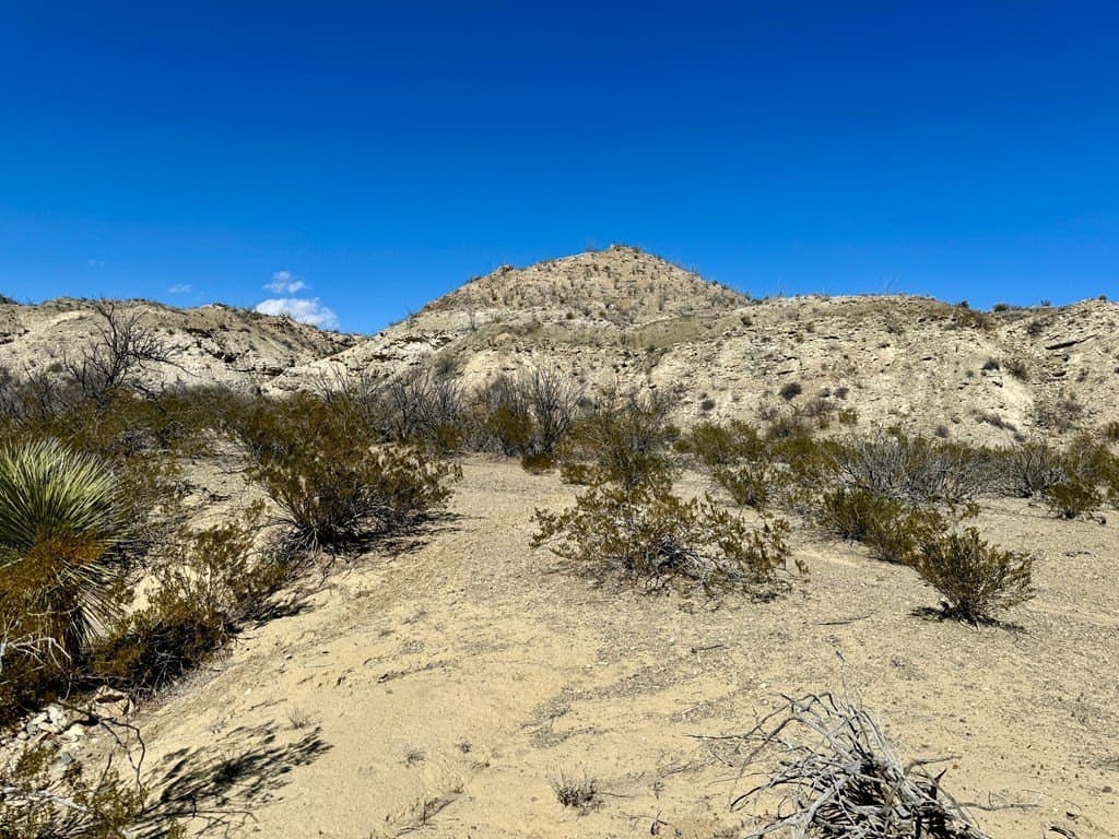 66 acres in Brewster County - photo 12