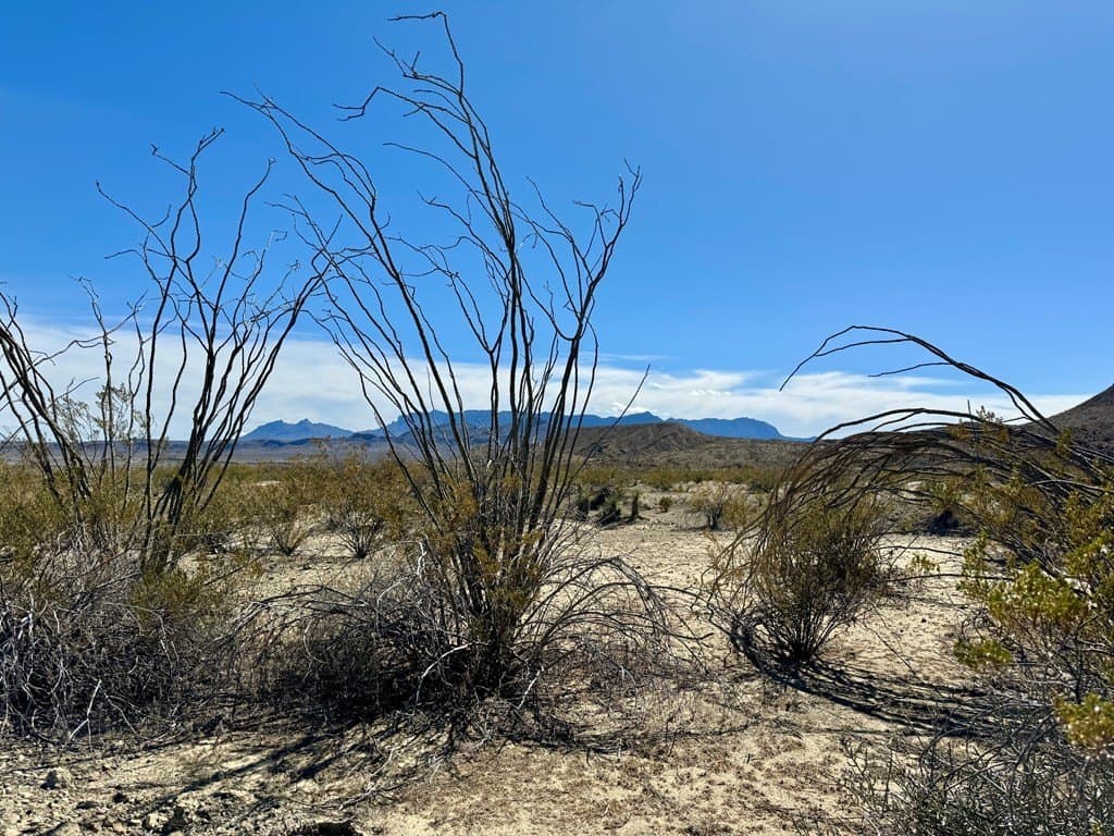 66 acres in Brewster County - photo 8