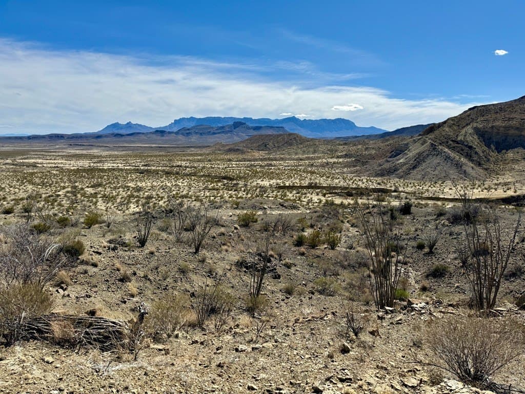 66 acres in Brewster County - photo 17
