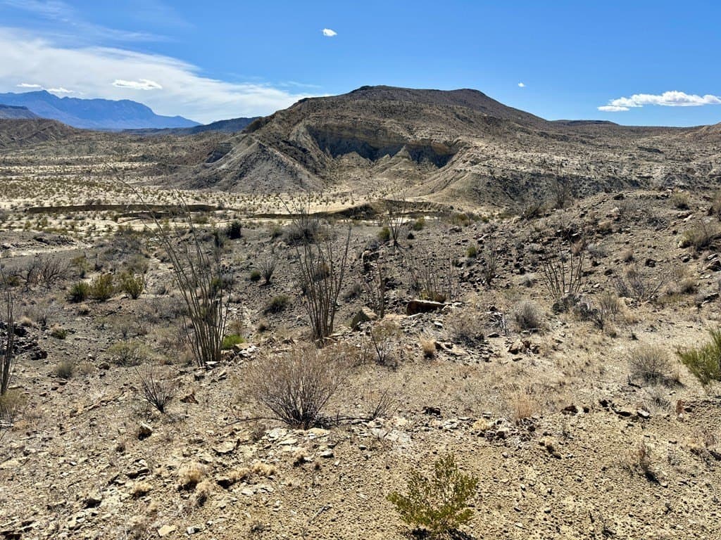 66 acres in Brewster County - photo 18