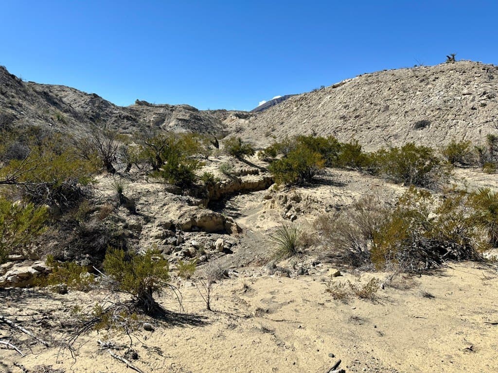 66 acres in Brewster County - photo 13