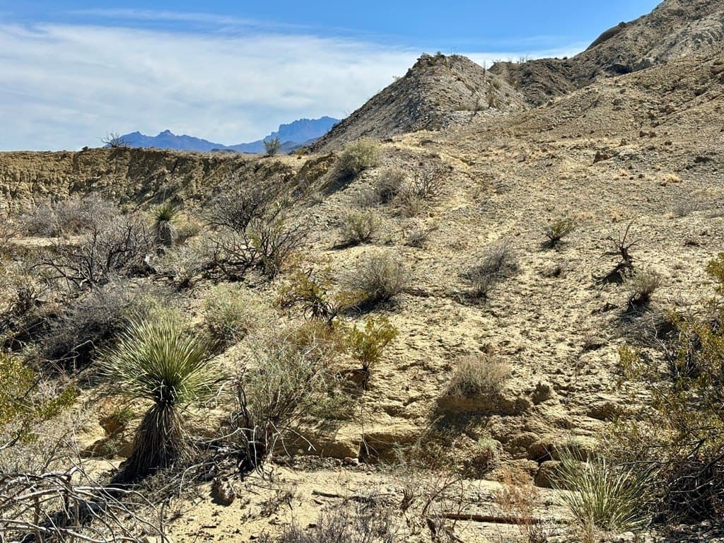 66 acres in Brewster County - photo 9