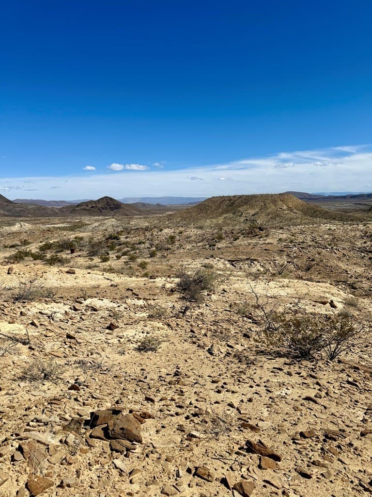 66 acres in Brewster County gallery image 3