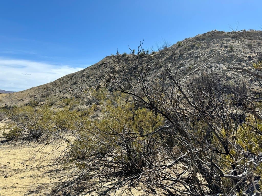66 acres in Brewster County - photo 11