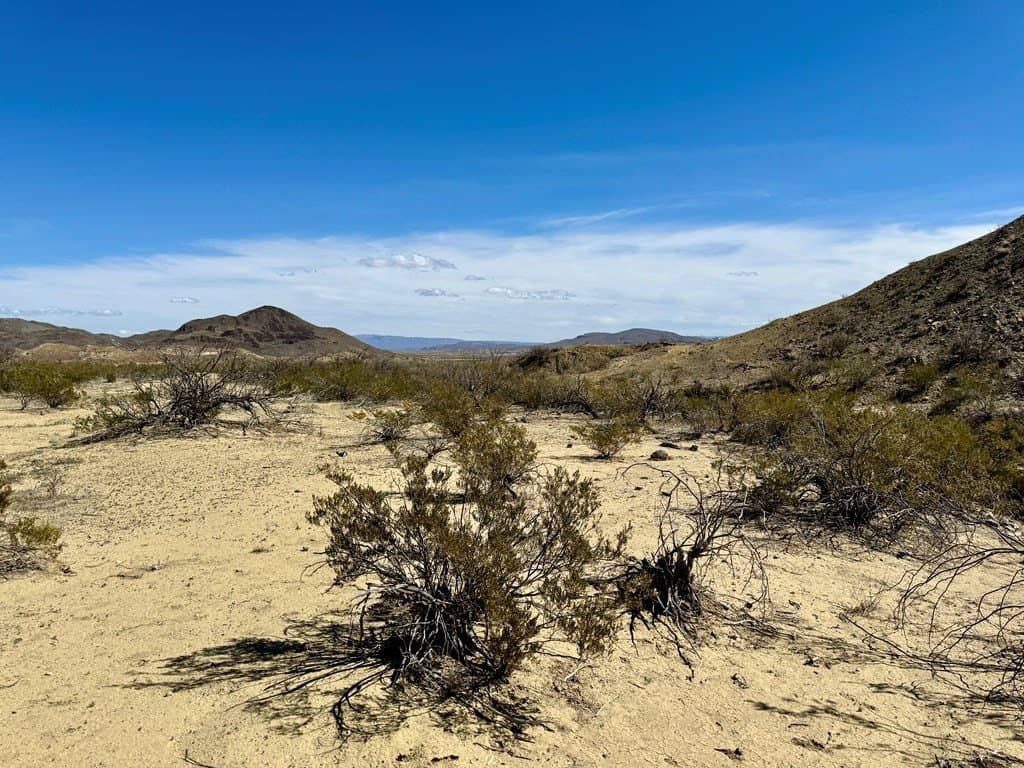 66 acres in Brewster County - photo 10