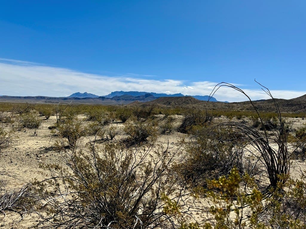 66 acres in Brewster County gallery image 4
