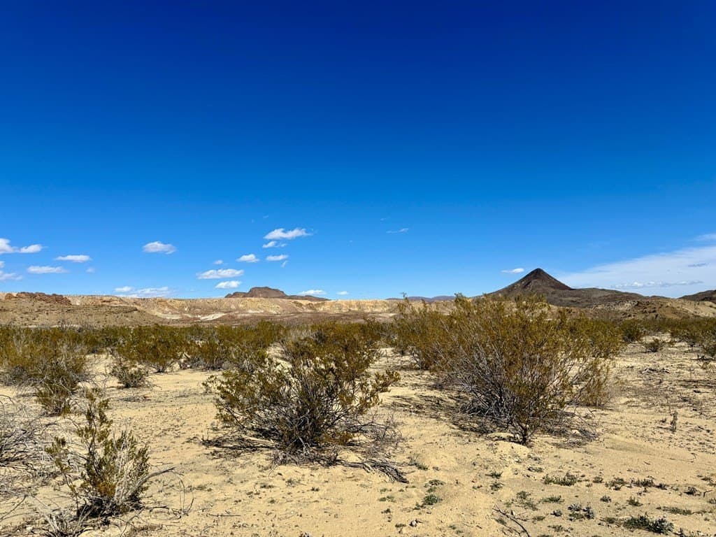 66 acres in Brewster County - photo 6