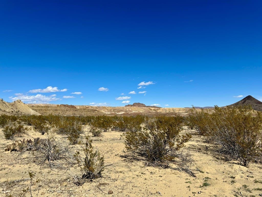 66 acres in Brewster County - photo 7
