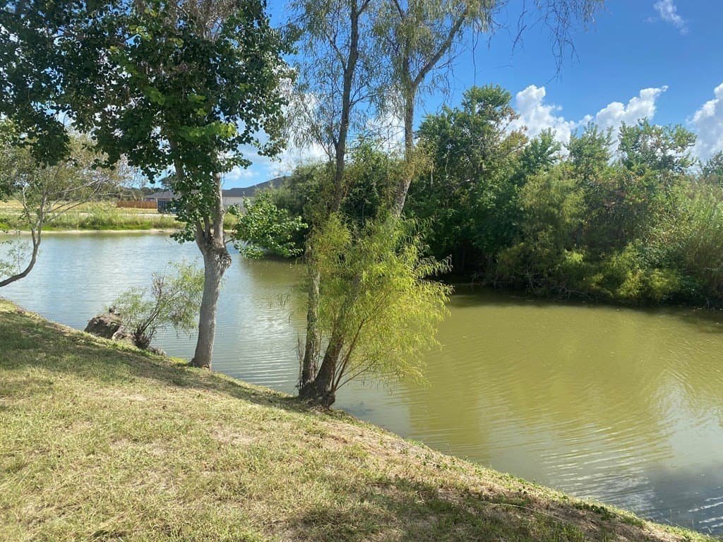 3.5 acres in Texas County gallery image 4
