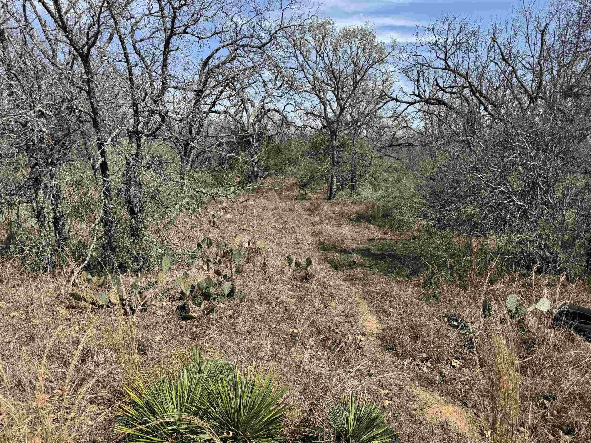 1.38 acres in Llano County - photo 2