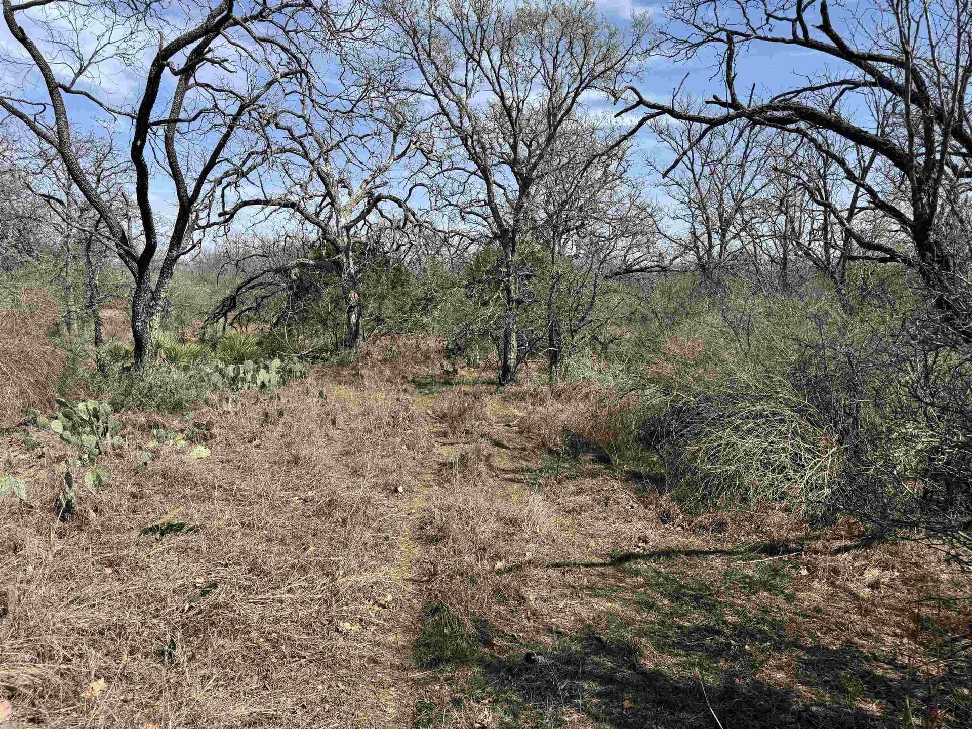 1.38 acres in Llano County - photo 4