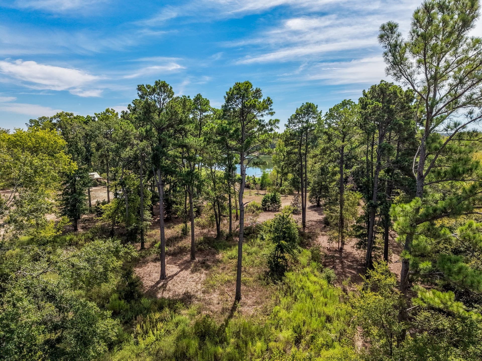 9.86 acres in Wood County - photo 13