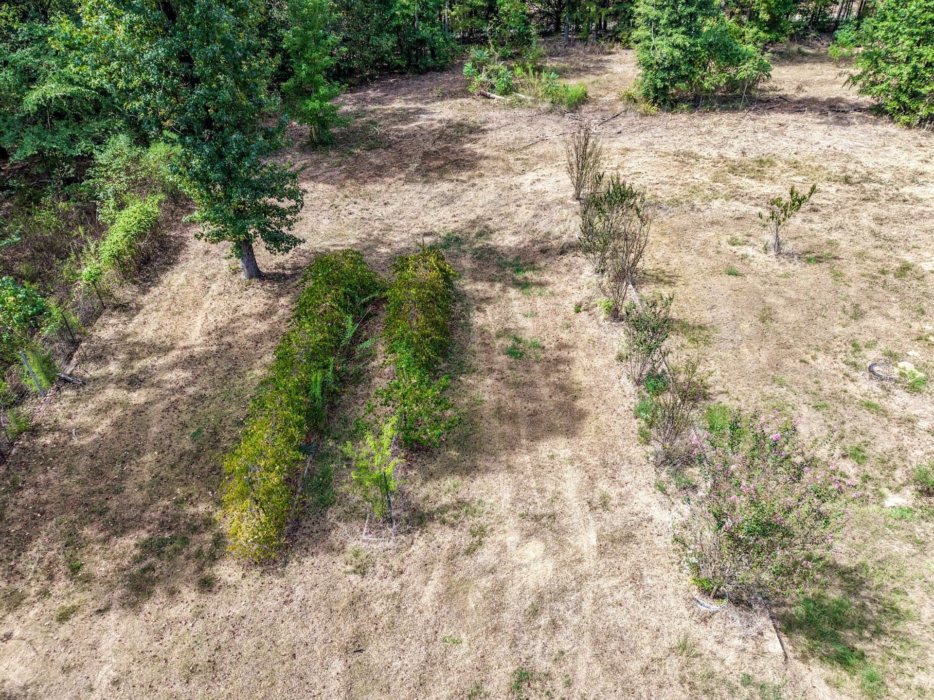 9.86 acres in Wood County - photo 16