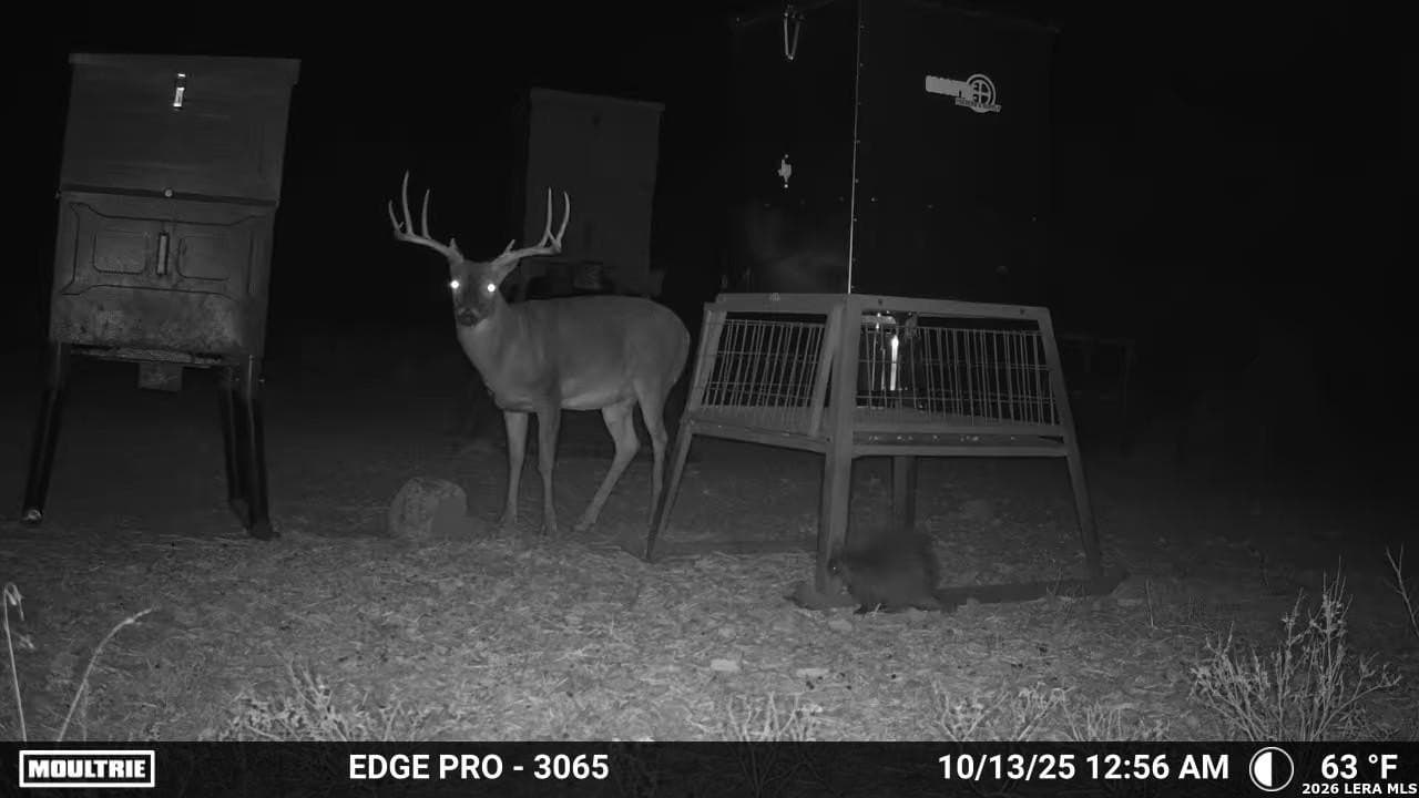 99 acres in Kimble County - photo 10
