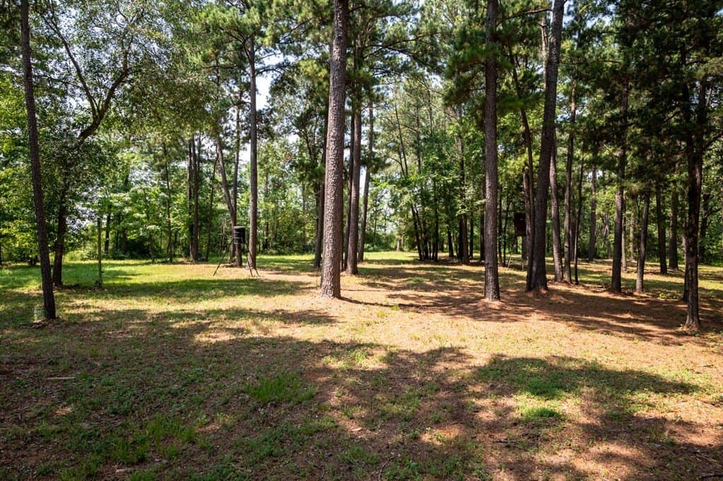 11.46 acres in Texas County - photo 59