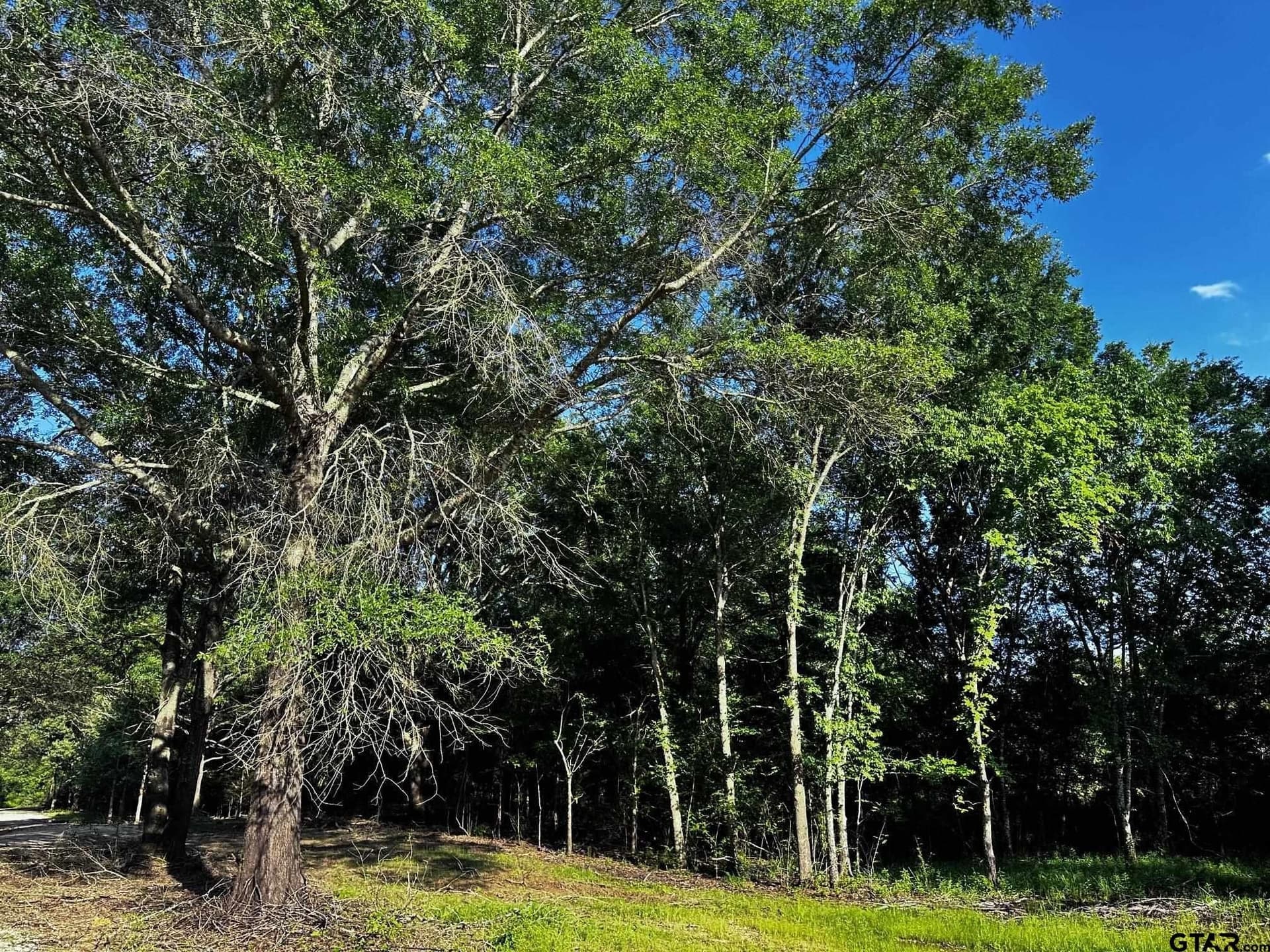 10.01 acres in Van Zandt County - photo 10