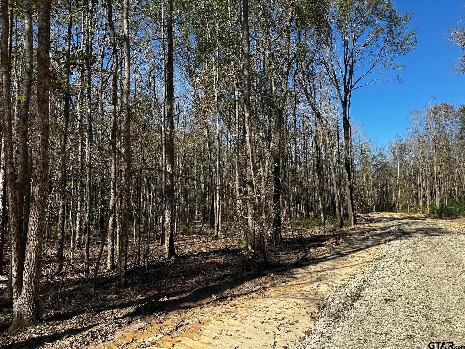 10.01 acres in Van Zandt County - photo 18