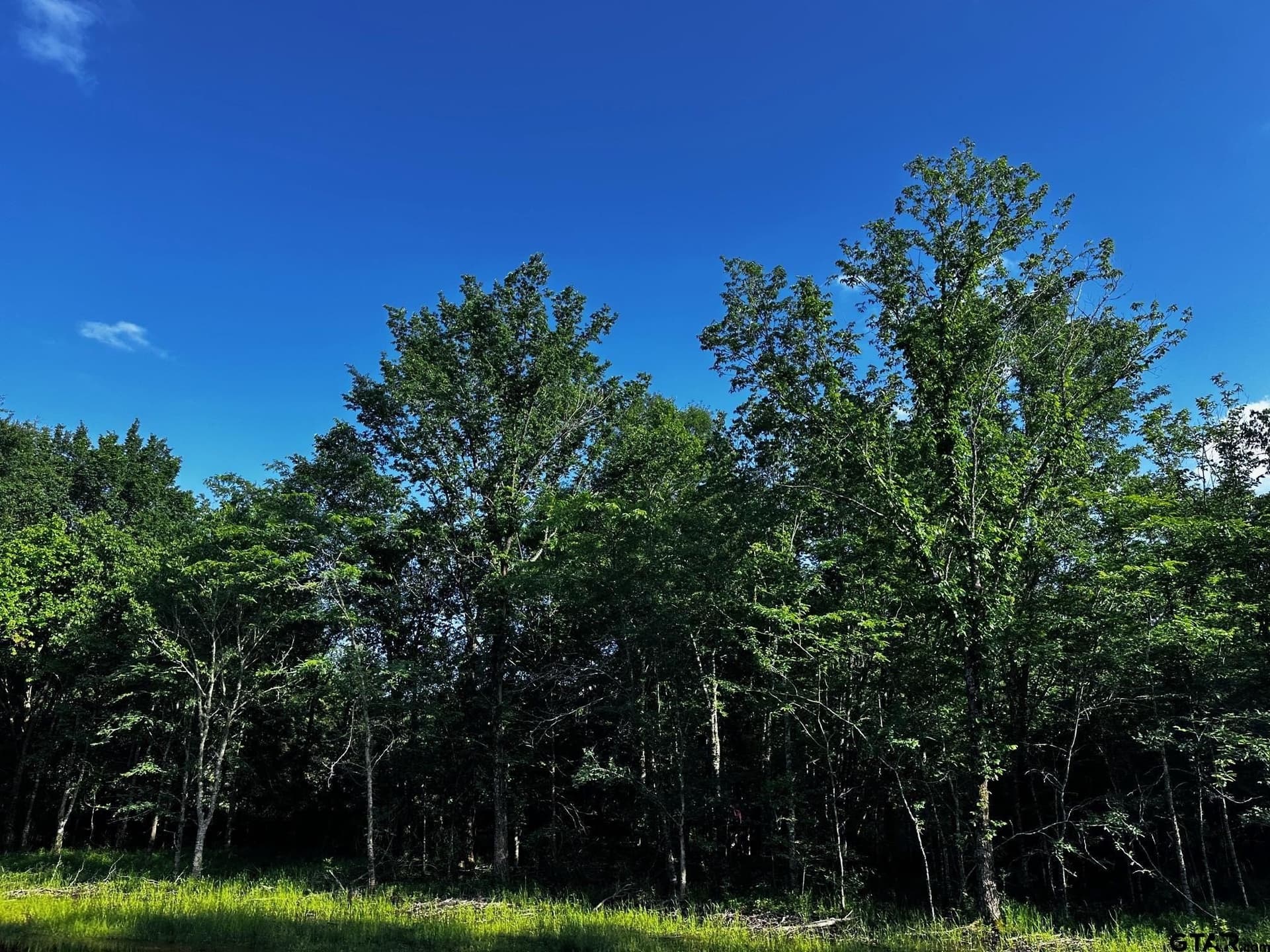 10.01 acres in Van Zandt County - photo 9