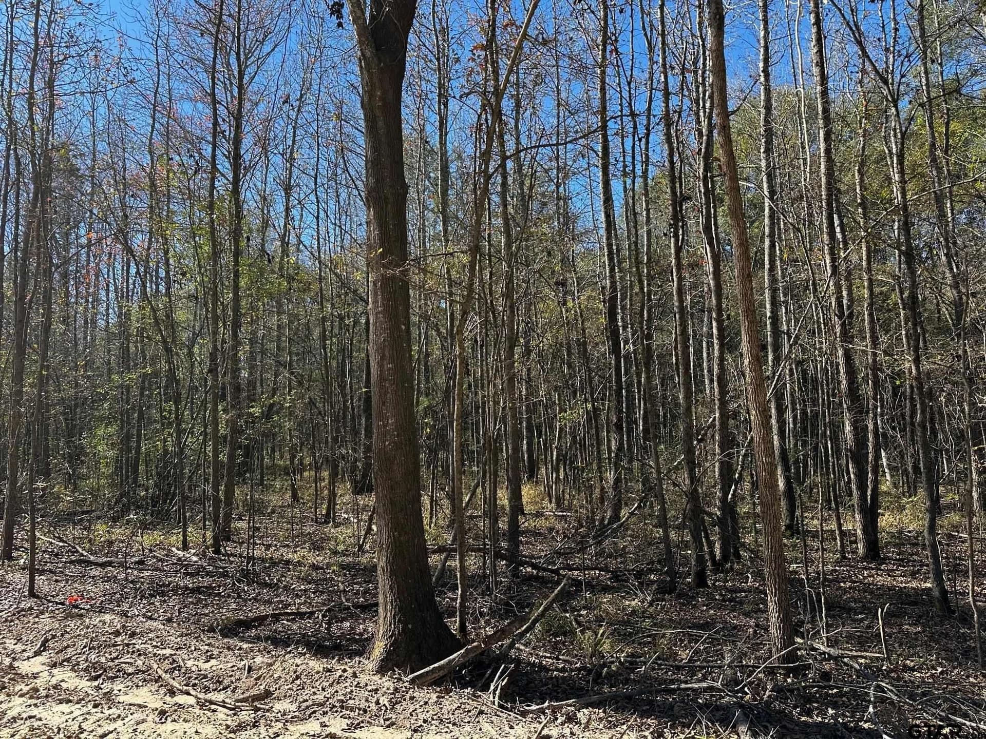 10.01 acres in Van Zandt County - photo 17