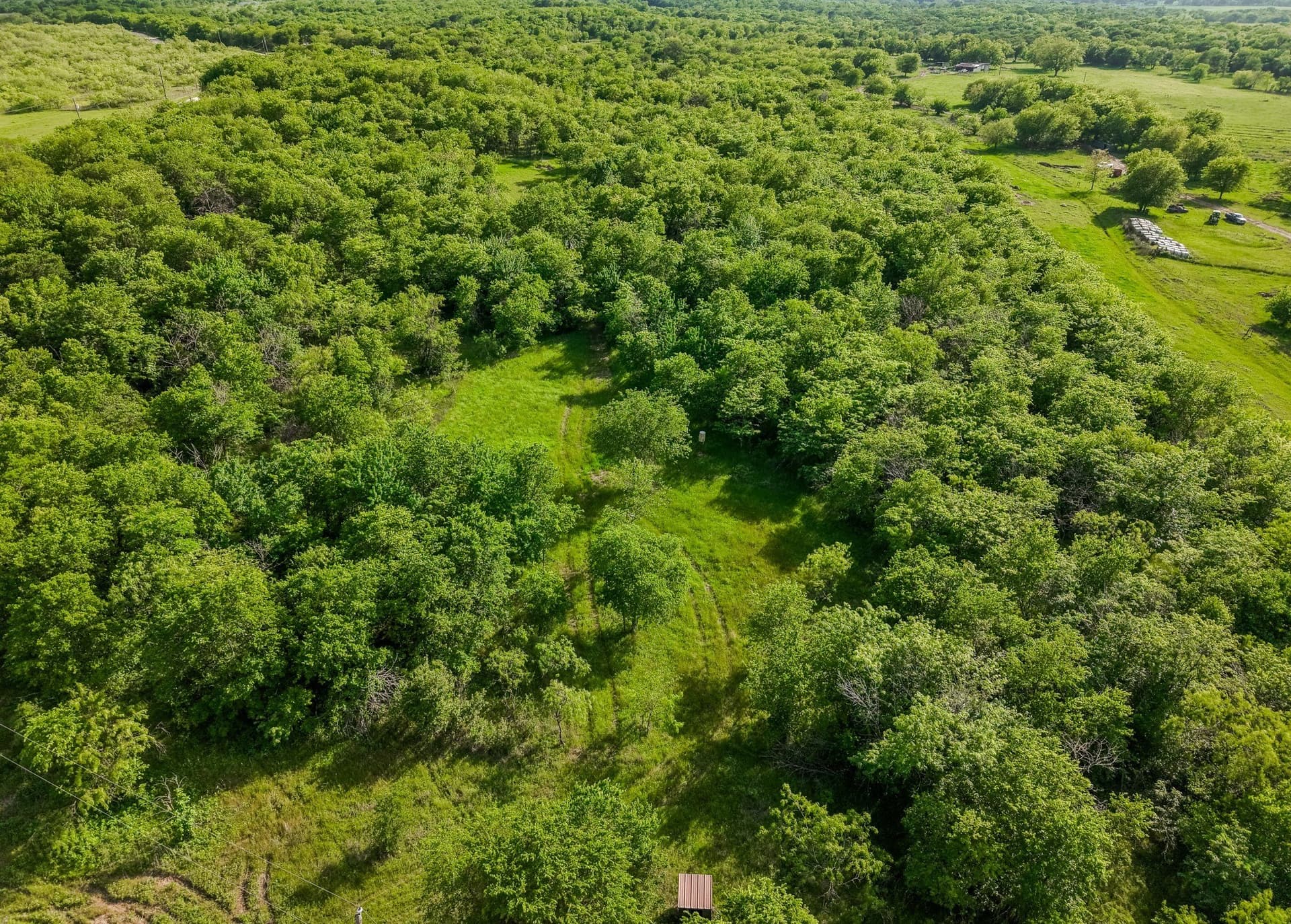 12.5 acres in Navarro County - photo 8